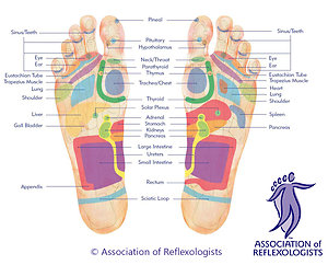 About Reflexology. footmap